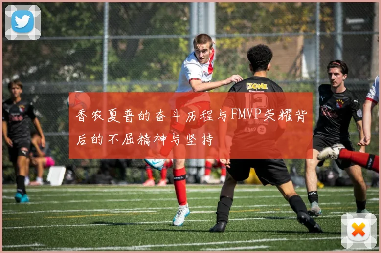 香农夏普的奋斗历程与FMVP荣耀背后的不屈精神与坚持