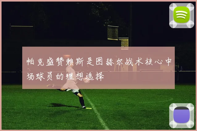 帕克盛赞赖斯是图赫尔战术核心中场球员的理想选择