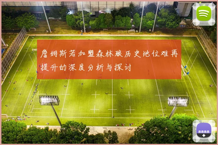 詹姆斯若加盟森林狼历史地位难再提升的深度分析与探讨