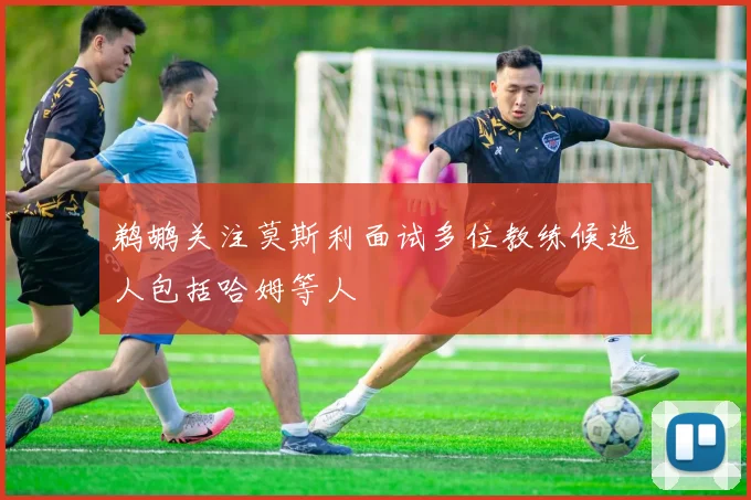 鹈鹕关注莫斯利面试多位教练候选人包括哈姆等人